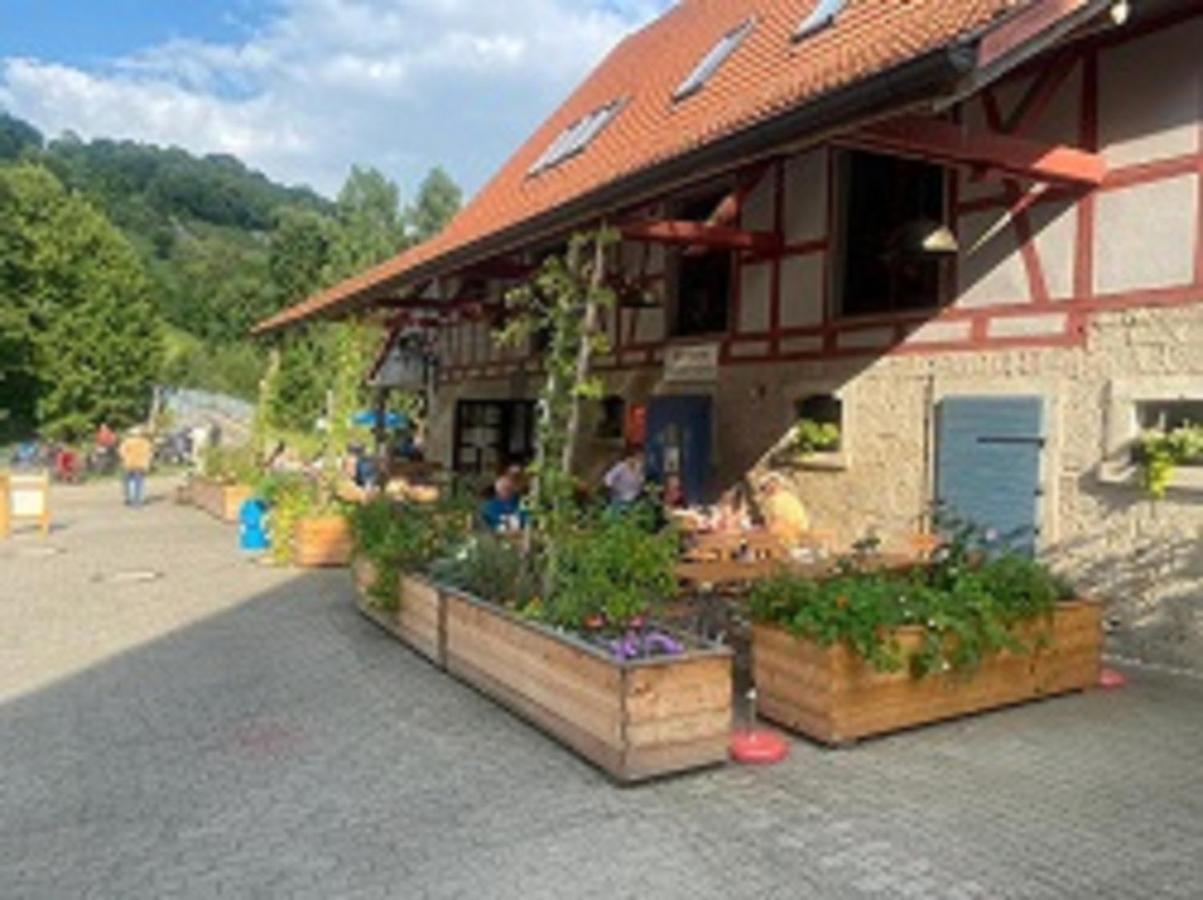 Gasthaus Holdermuehle Креглинген Екстериор снимка