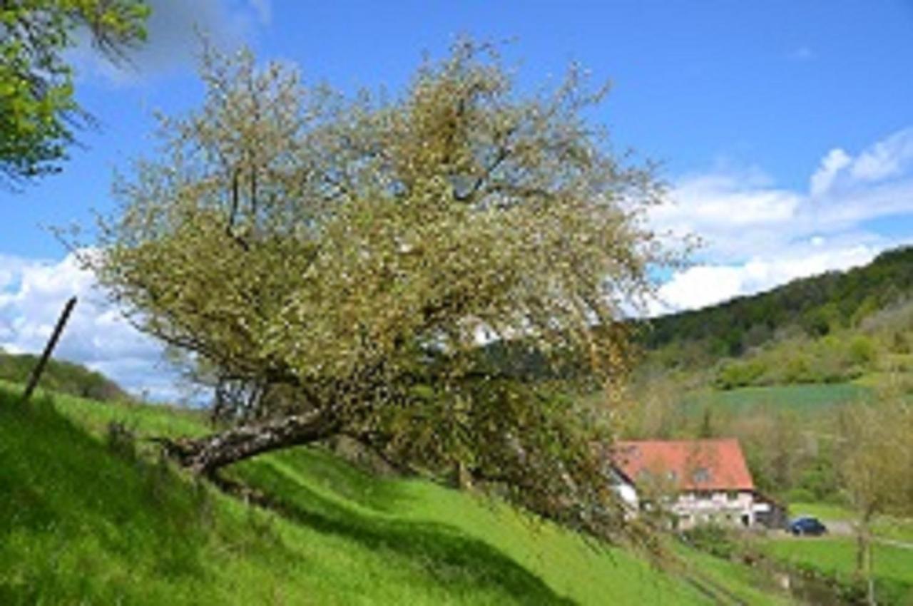 Gasthaus Holdermuehle Креглинген Екстериор снимка